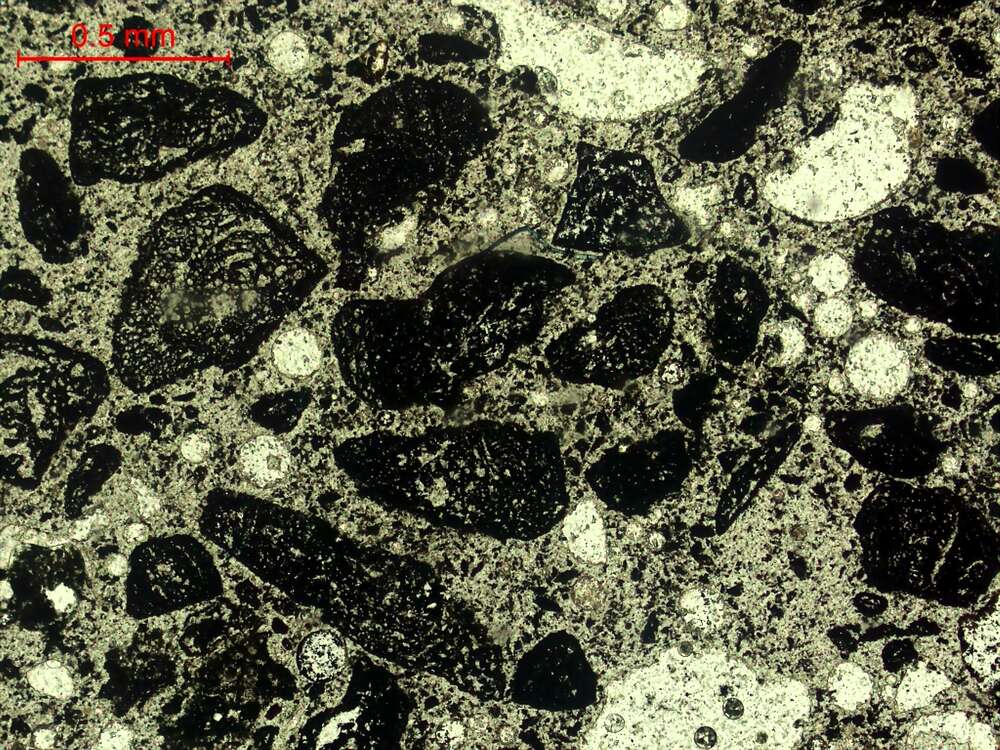 气化炉渣组分形态