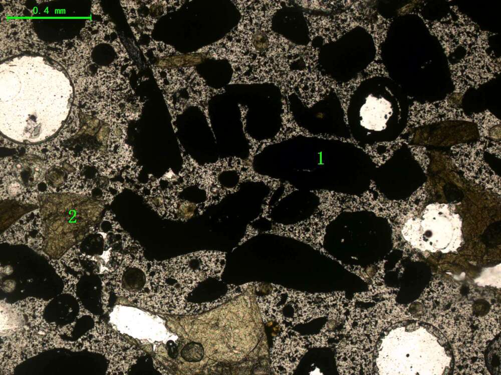 气化炉渣组分形态