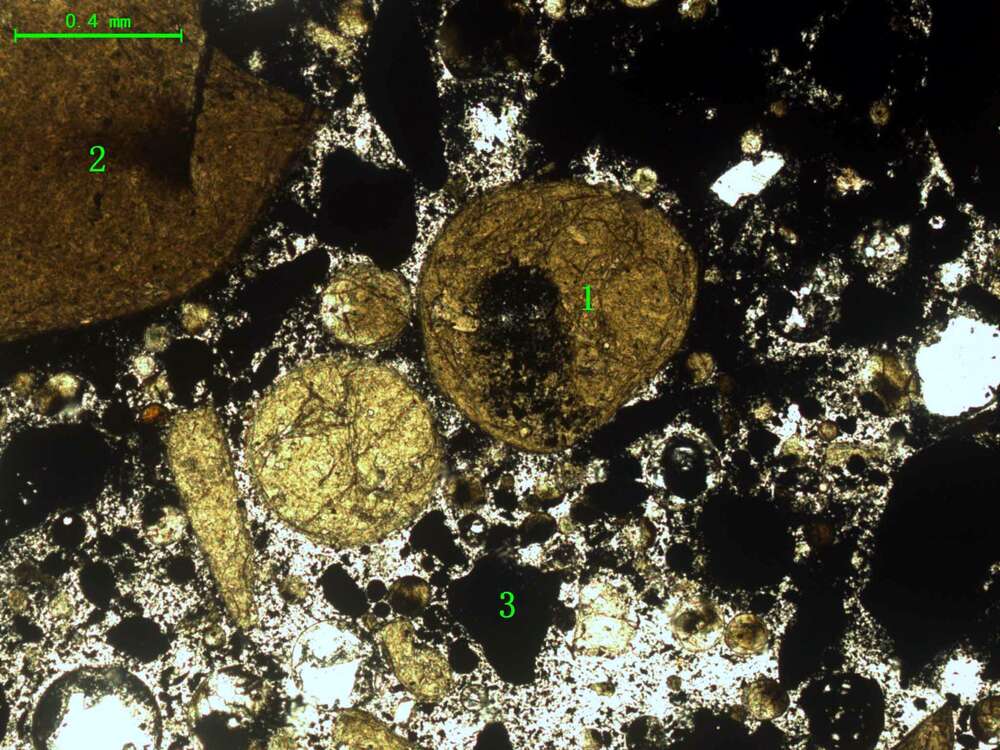 气化炉渣组分形态