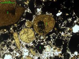 气化炉渣组分形态