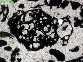 气化炉渣组分形态