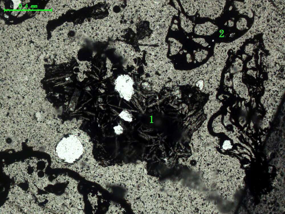 气化炉渣组分形态
