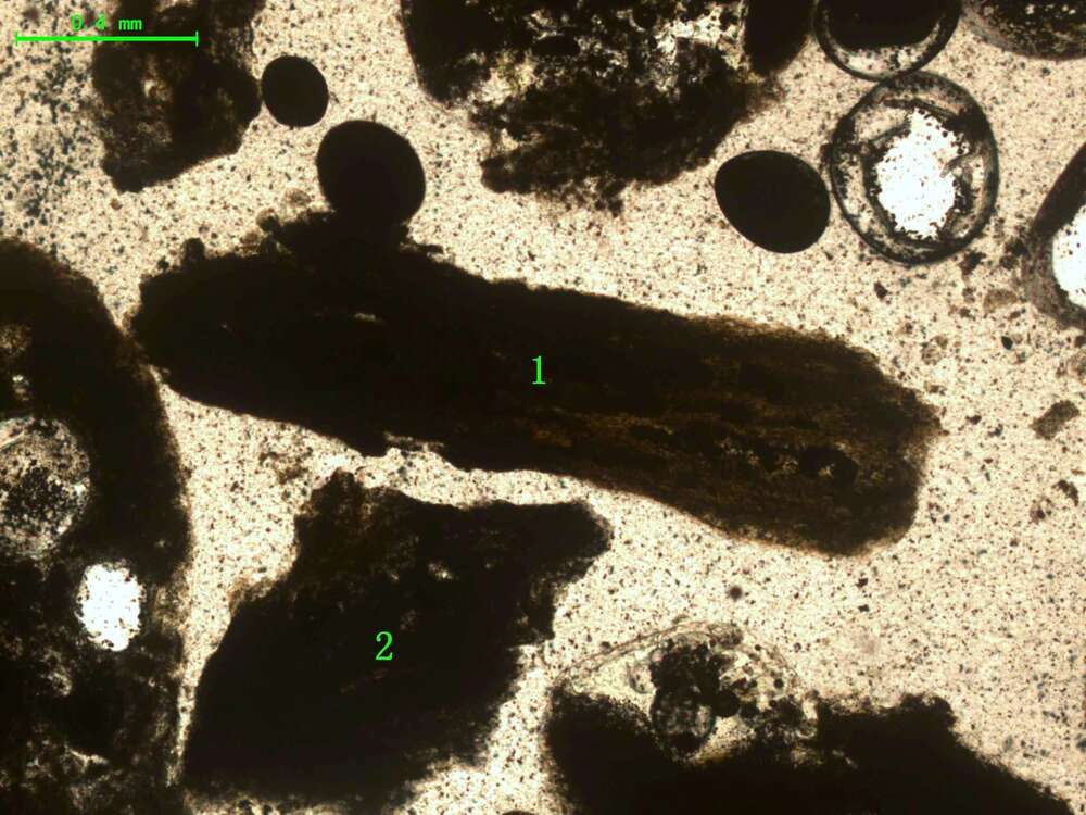 气化炉渣组分形态