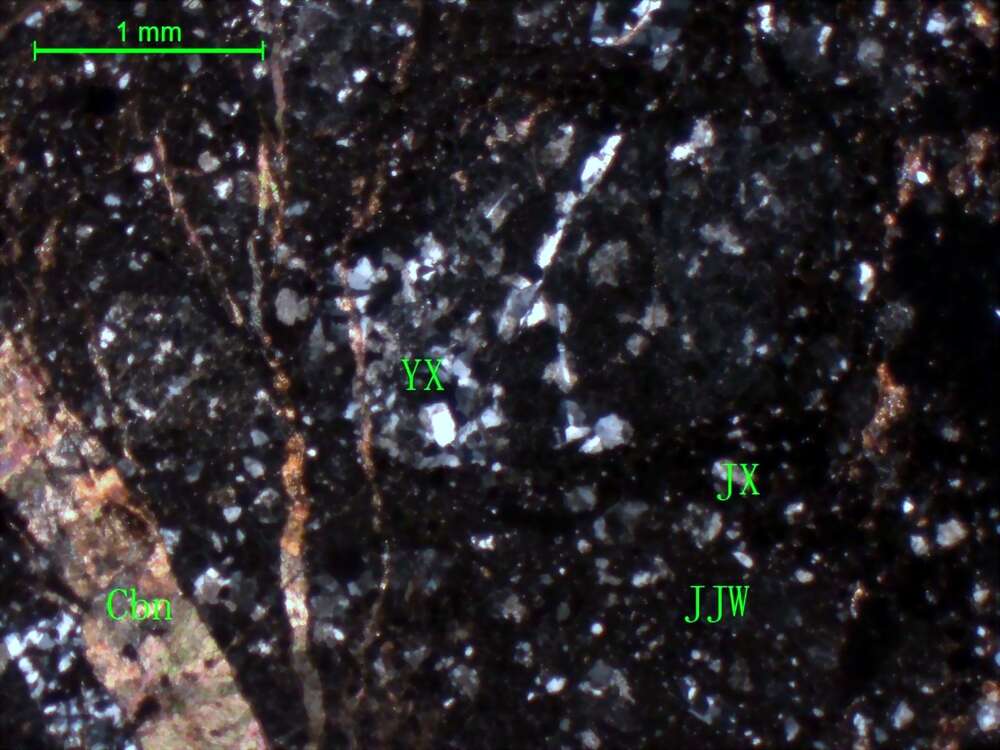 轻度蚀变晶屑岩屑凝灰岩