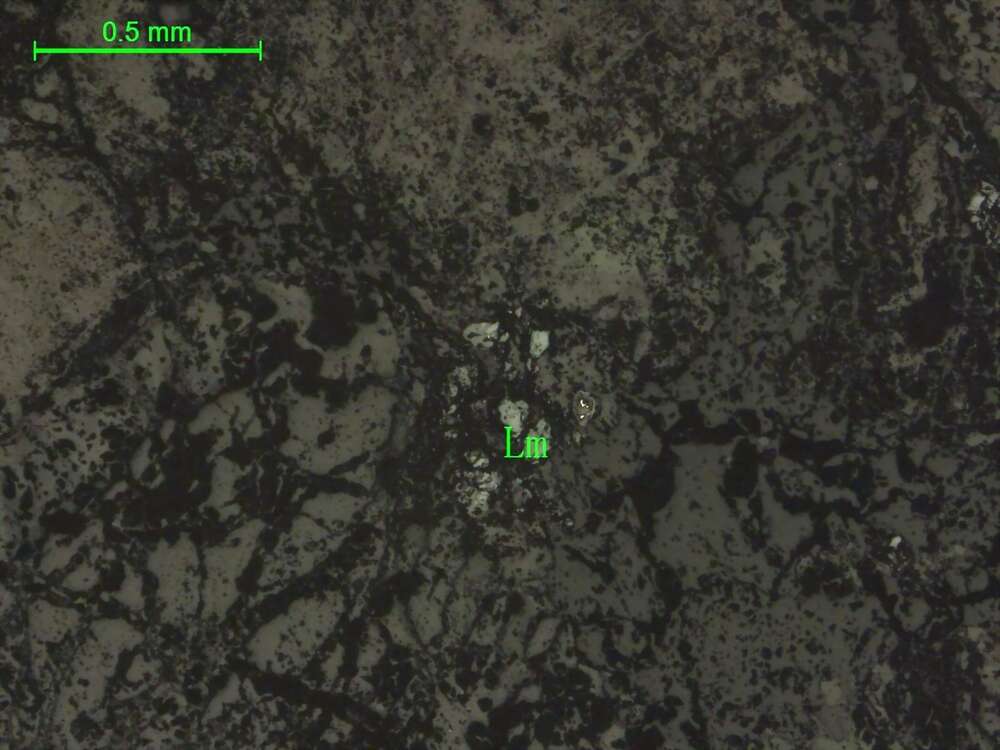 褐铁矿化黄铁矿（凝灰岩） 