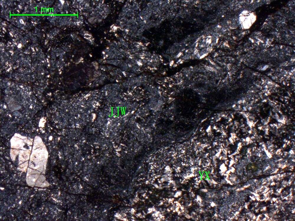 蚀变安山质角砾凝灰岩 