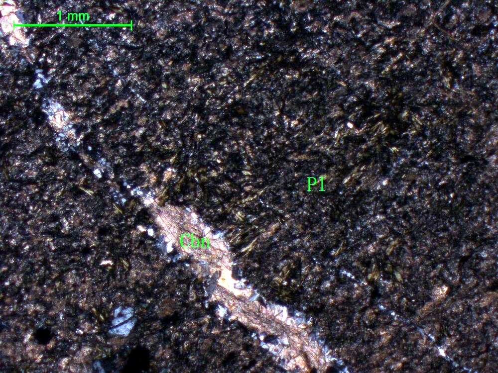 片理化蚀变安山岩 