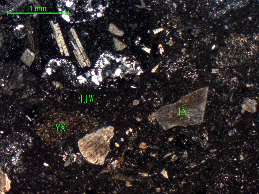 弱蚀变岩屑凝灰岩 