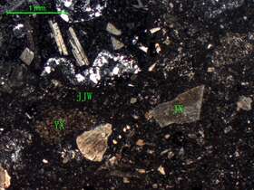 弱蚀变岩屑凝灰岩 