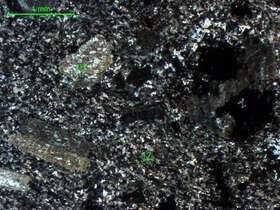 泥化辉石闪长玢岩 