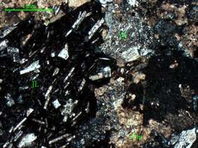 含角砾岩屑凝灰岩 