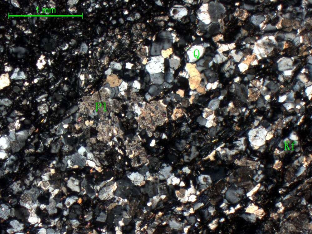 绿泥石化黑云母二长片麻岩 