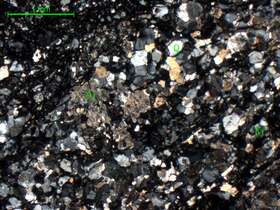 绿泥石化黑云母二长片麻岩 