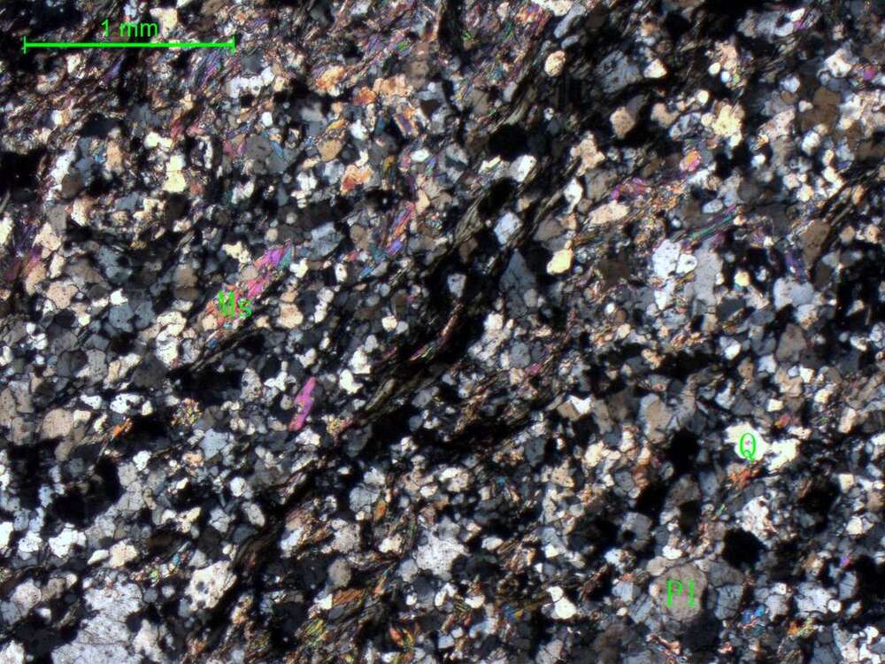 二云母斜长片麻岩 