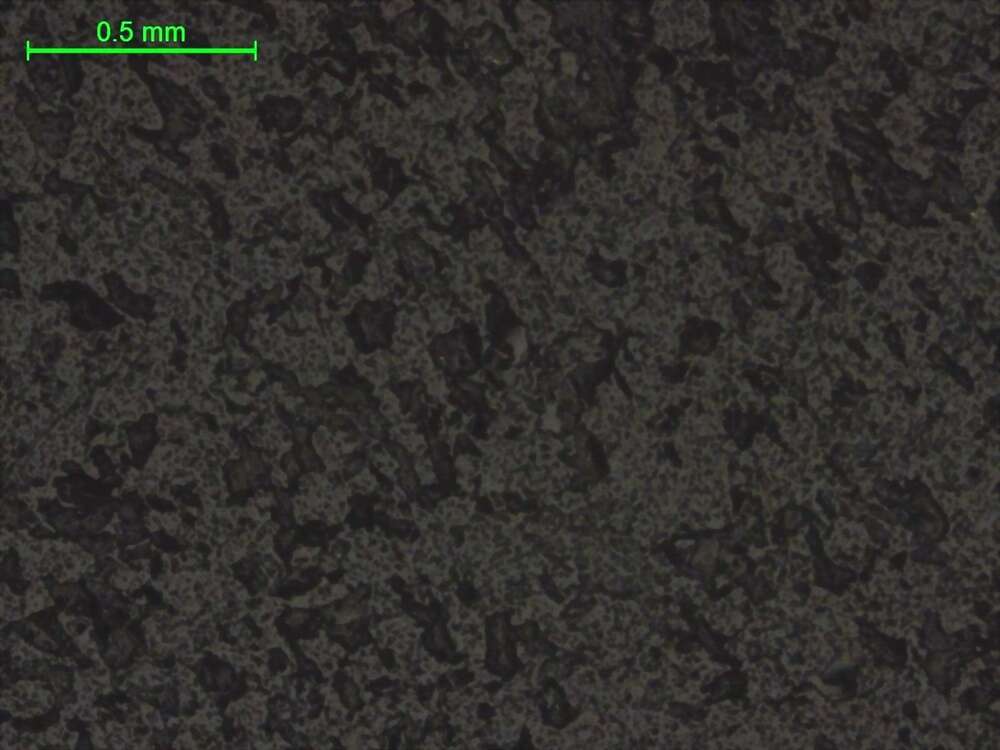 二云母斜长片麻岩