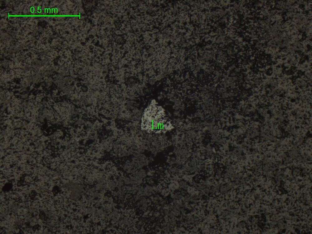 褐铁矿（绿帘石辉石蚀变岩）