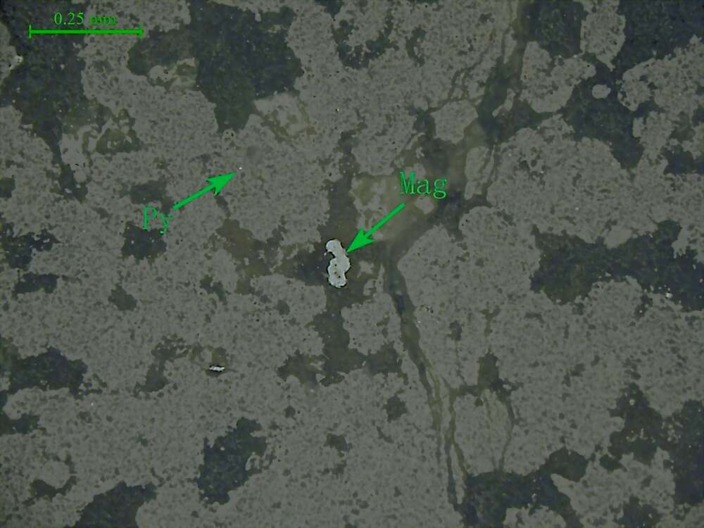 磁铁矿、磁黄铁矿、黄铁矿