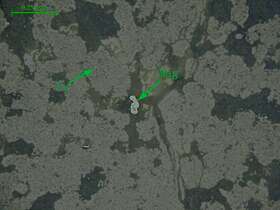 磁铁矿、磁黄铁矿、黄铁矿