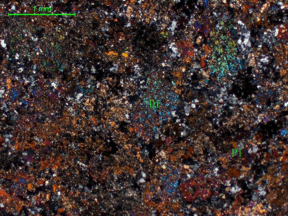 含斜长石透辉石岩                                                