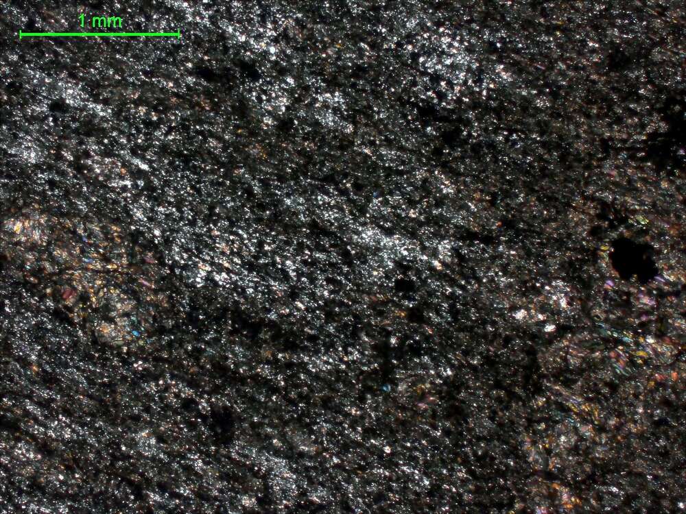 含透辉石黑云母角岩                                                