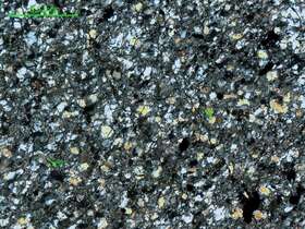 变质细粒石英杂砂岩                                                