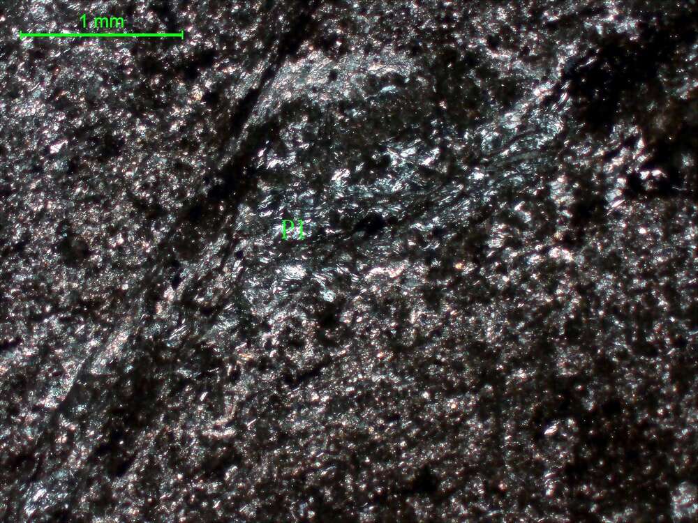 片理化强蚀变玄武岩（安山岩）                                                