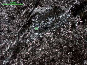 片理化强蚀变玄武岩（安山岩）                                                