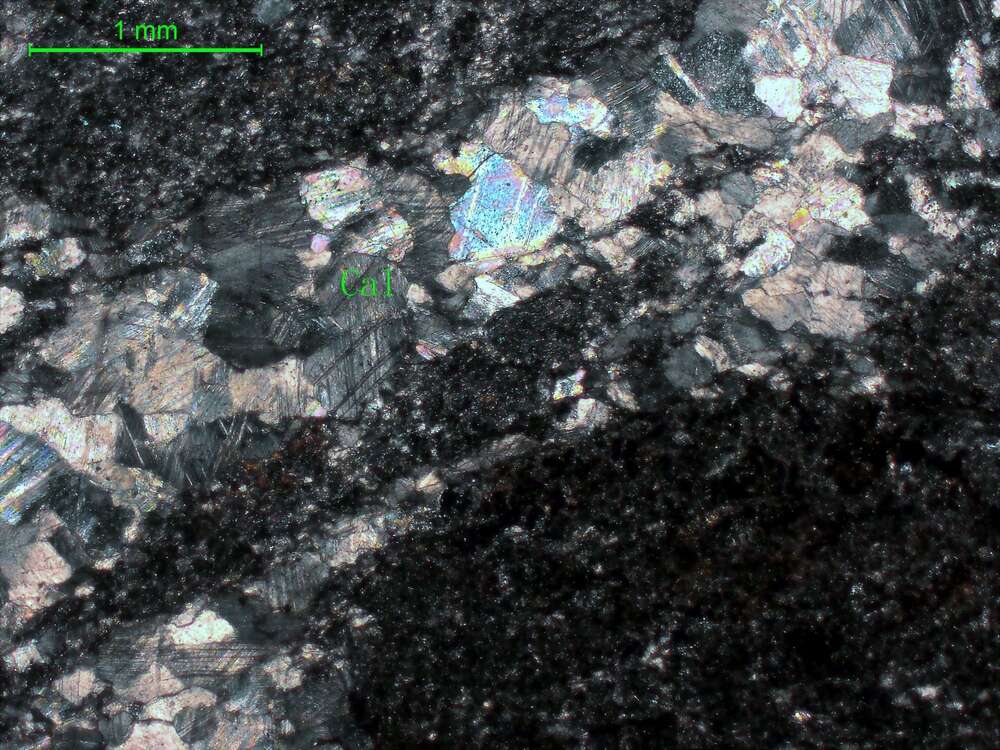 碳酸盐化蚀变辉石岩                                                