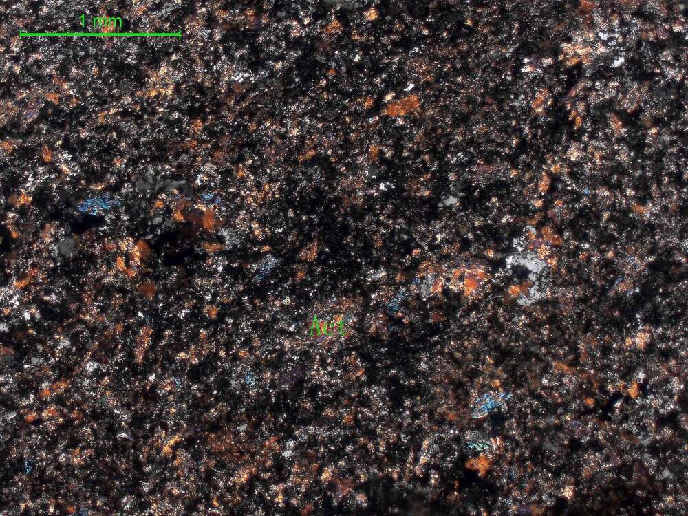 片理化全蚀变中基性岩                                              