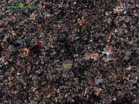 片理化全蚀变中基性岩                                              