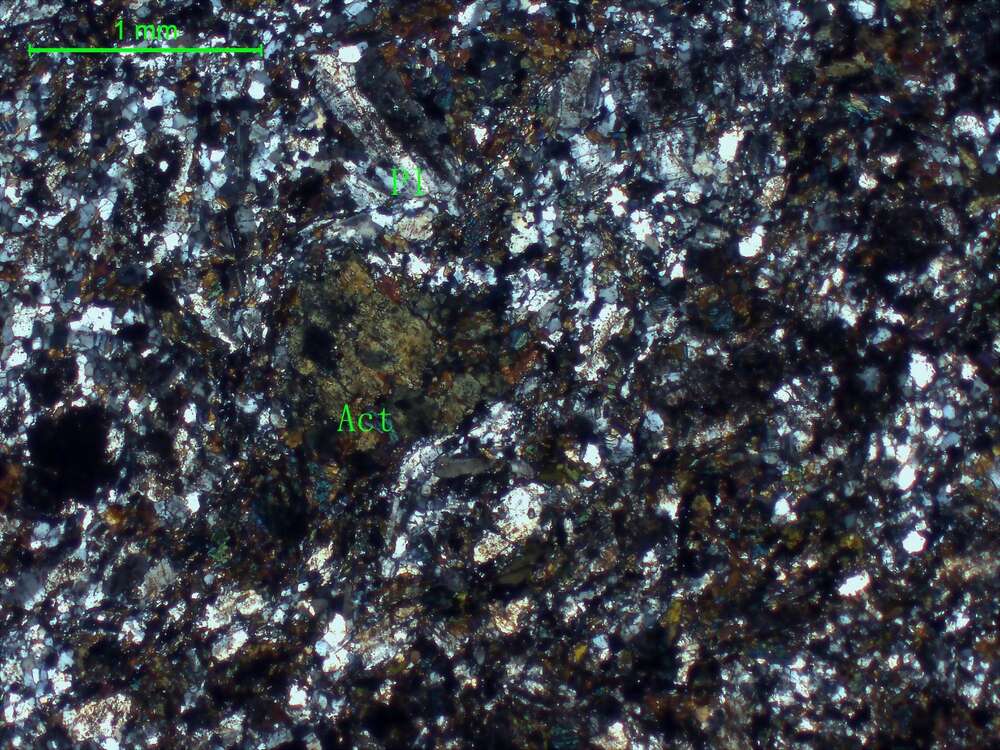 弱蚀变闪长玢岩                                              