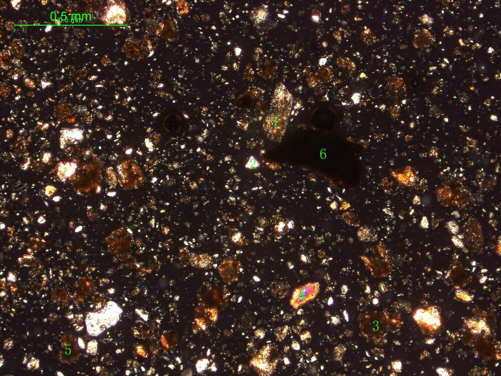 土壤（粉砂土）