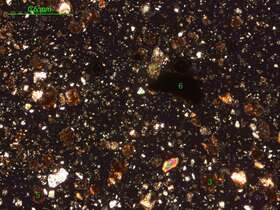 土壤（粉砂土）