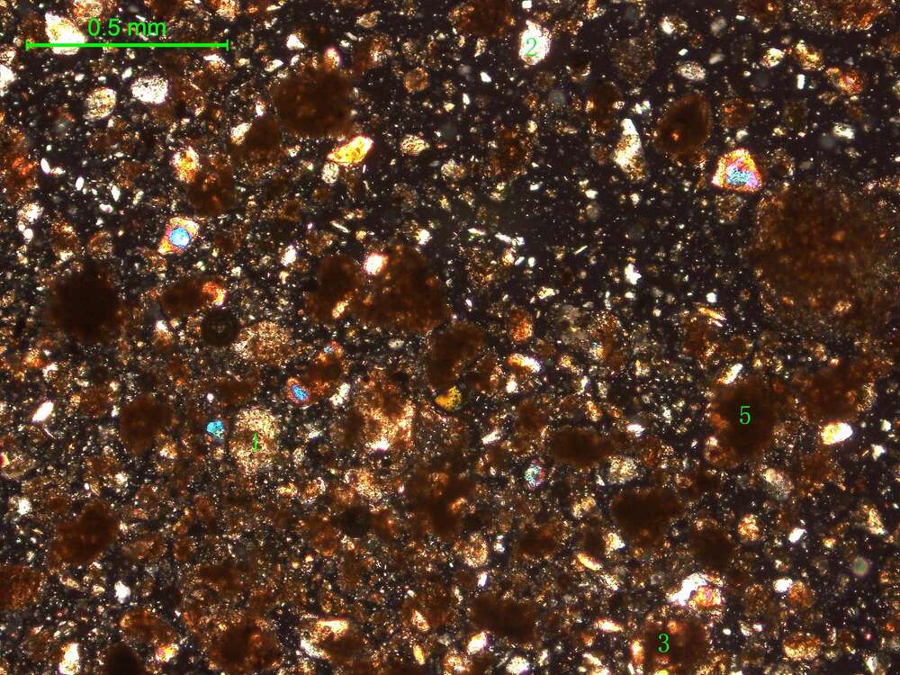 土壤（粉砂土）