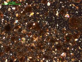 土壤（粉砂土）