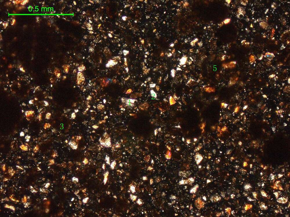 土壤（粉砂土）