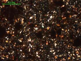 土壤（粉砂土）