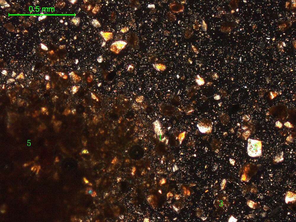 土壤（粉砂土）