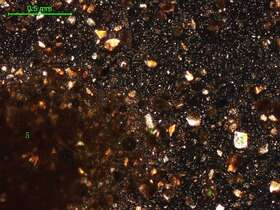 土壤（粉砂土）