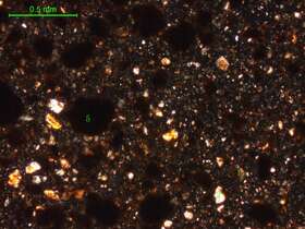 土壤（粉砂土）