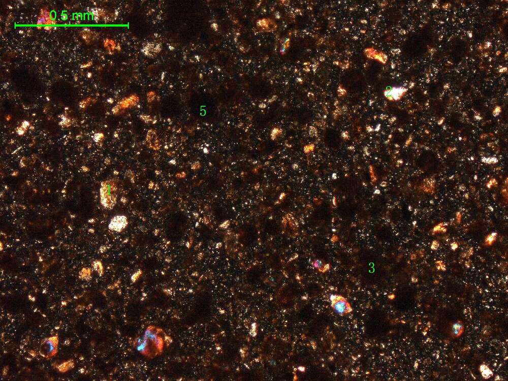 土壤（粉砂土）