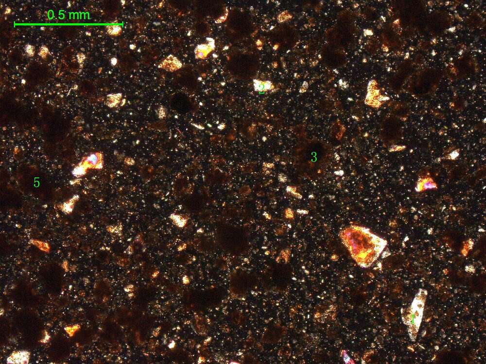 土壤（粉砂土）