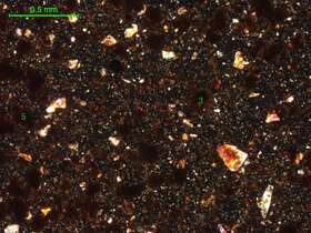 土壤（粉砂土）