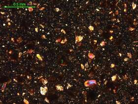 土壤（粉砂土）