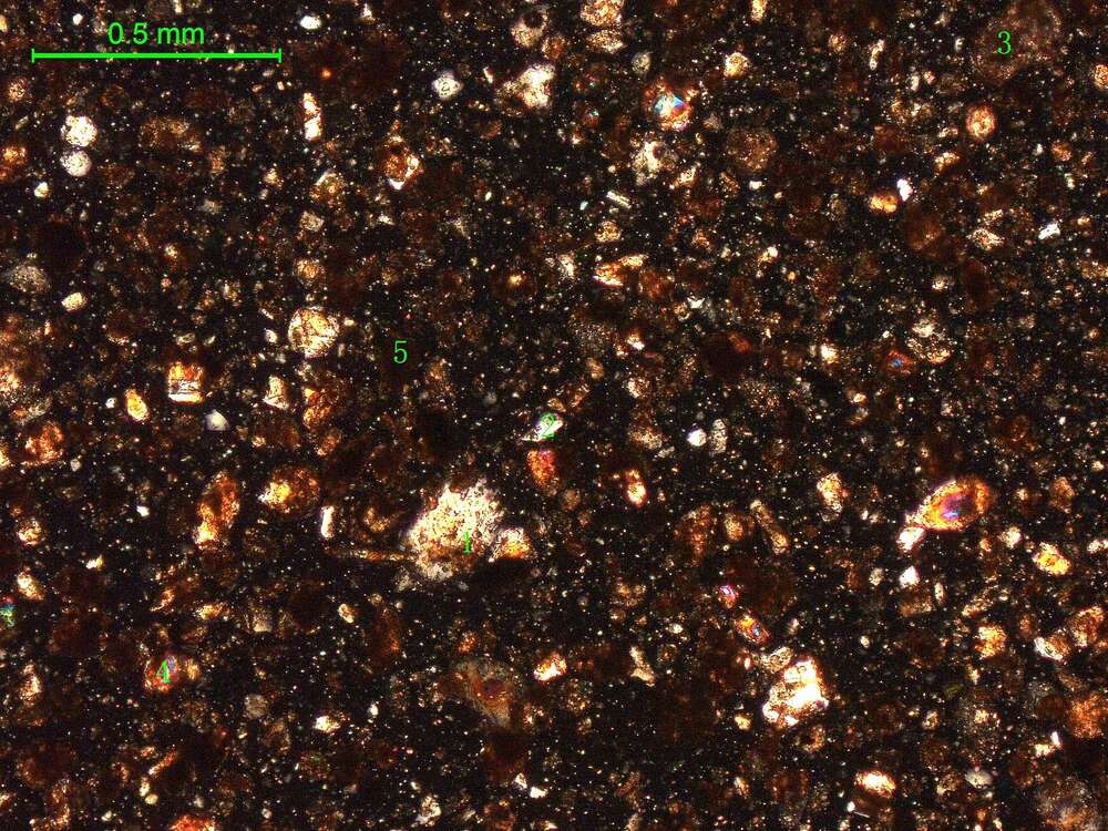 土壤（粉砂土）