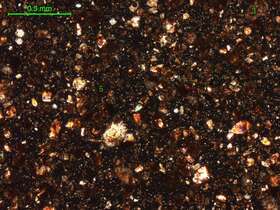 土壤（粉砂土）