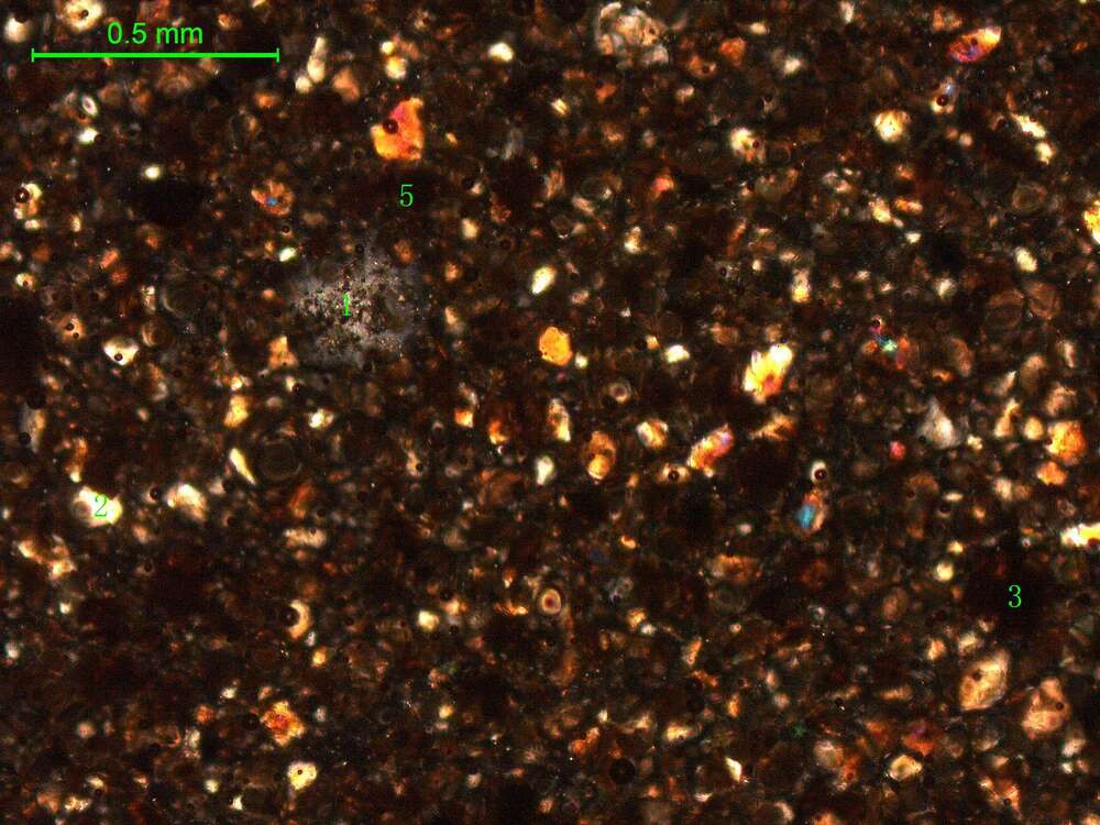 土壤（粉砂土）