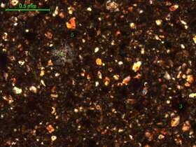 土壤（粉砂土）