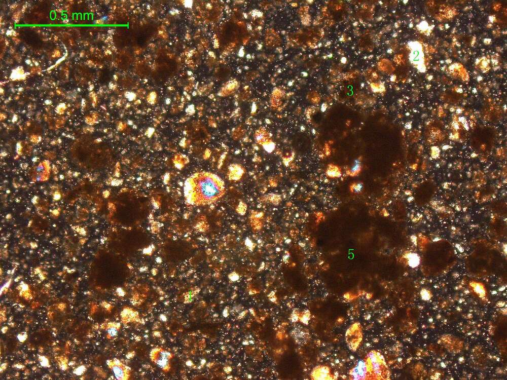 土壤（粉砂土）