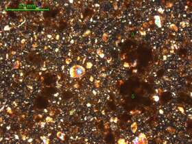 土壤（粉砂土）